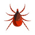 Mite or tick dangerous parasite. Colorful cartoon character Royalty Free Stock Photo