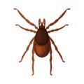 Mite Tick Insect, Pest Control and Extermination Concept Vector Illustration on White Background