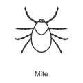 Mite vector icon.Line vector icon isolated on white background mite .