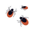 Mites, parasite predatory insects. Ticks, encephalitis bugs. Acarus animals. Acarids, epidemic dangerous little beetles