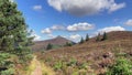 Mither Tap in the Bennachie Hills in early Autumn