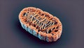 Mitochondria internal detailed anatomy structure Royalty Free Stock Photo