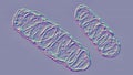 Mitochondria, a membrane-enclosed cellular organelles, which produce energy Royalty Free Stock Photo