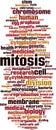 Mitosis word cloud Royalty Free Stock Photo