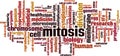 Mitosis word cloud Royalty Free Stock Photo