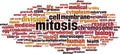 Mitosis word cloud Royalty Free Stock Photo
