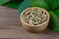 Mitragyna Speciosa Korth or kratom for healthy.