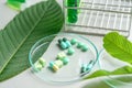 Mitragyna speciosa korth kratom drug plant with pills in labor Royalty Free Stock Photo