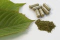 Mitragyna speciosa (kratom) leaves Royalty Free Stock Photo