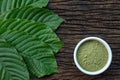 Mitragynina speciosa or Kratom leaves with powder product in white ceramic bowl and wooden table background