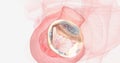 Mitral regurgitation inhibits the heart's ability to pump blood
