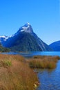 Mitre Peak Foreshore