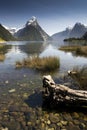 Mitre Peak, Milford Sound, Fiordland National Park, South Island, New Zealand Royalty Free Stock Photo