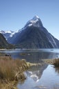 Mitre peak portret Royalty Free Stock Photo