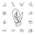 mitten vector illustration in color and outline sketch style on white background Royalty Free Stock Photo