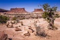 The Mittens, buttes in Monument Valley with tree, Arizona and Utah, USA Royalty Free Stock Photo