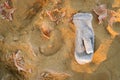 Mittens in the sand in autumn with leaves. Lost mittens