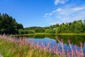 Mittlerer Zechenteich near Clausthal-Zellerfeld. Landscape at the lake in the Harz mountains Royalty Free Stock Photo