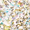 Abstract colorful leopard with baroque details