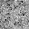 Mix animal skin prints, leopard, jaguar seamless pattern vector design. Predators skin merges. Dotted texture. Black and white, Royalty Free Stock Photo