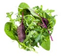 mix of assorted small young salad greens isolated