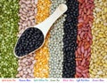 Mix beans and pea Royalty Free Stock Photo
