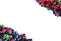 Mix berries and fruits at border of image with copy space for text. Ripe blueberries, blackberries, raspberries, black and red cur Royalty Free Stock Photo