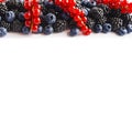 Mix berries and fruits at border of image with copy space for text. Ripe blueberries, blackberries, and red currants on white back Royalty Free Stock Photo