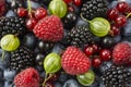 Mix berries and fruits. Ripe blackberries, blackcurrants, red currants, raspberries and gooseberries. Top view. Background berries Royalty Free Stock Photo