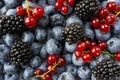 Mix berries and fruits. Ripe blackberries, blueberries, blackcurrants, red currants. Top view. Background berries and fruits.