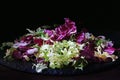 Mix of bitter-leafed vegetables, endive, radicchio, frisee and escarole leaf chicory salad Royalty Free Stock Photo