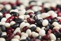 Mix black, red, white kidney beans macro background. Royalty Free Stock Photo