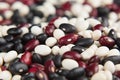 Mix black, red, white kidney beans macro background. Royalty Free Stock Photo