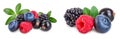 mix of blackberry blueberry raspberry black currant with leaf isolated on white background. Royalty Free Stock Photo