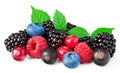 Mix of blueberry, blackberry, cranberry, raspberry with leaves isolated on white background. clipping path Royalty Free Stock Photo