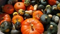 A mix of bright colored pumpkins and winter squash