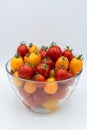 mix of yellow and red tomatoes Royalty Free Stock Photo