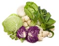 Mix of cabbages on white background: white cabbage, red cabbage, Savoy cabbage, Roman cabbage and Brussels sprouts Royalty Free Stock Photo