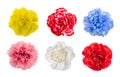 Mix of Carnations Royalty Free Stock Photo