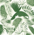 Mix palm leaf tree background Royalty Free Stock Photo