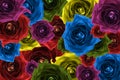 Mix collage of rose flowers rainbow background