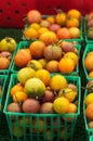 Mix of colorful cherry tomatoes Royalty Free Stock Photo