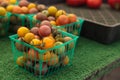 Mix of colorful cherry tomatoes Royalty Free Stock Photo