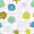 Mix of colorful silhouettes and white line art of succulent plant illustrations layered on top of a rough Gingham brush stroke