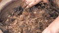 Mix compost with sandy loam. Agriculture and soil