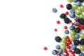 Mix of different fresh berries Royalty Free Stock Photo