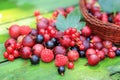 Mix of different summer berries on a wooden background