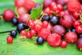 Mix of different summer berries on a wooden background