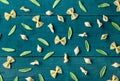 Mix of differnt shapes of pastas Royalty Free Stock Photo