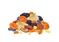 Mix of dried fruits isolated on white background. Pile of dried dates, figs, raisins, prunes and dried apricots. Vector illustrati